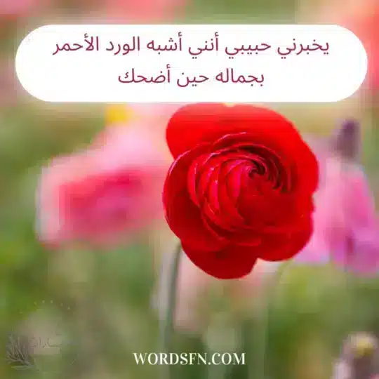 عبارات عن الورد