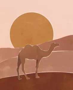 الجمل الصحراء القمر يوم بدينا يوم التأسيس السعودي