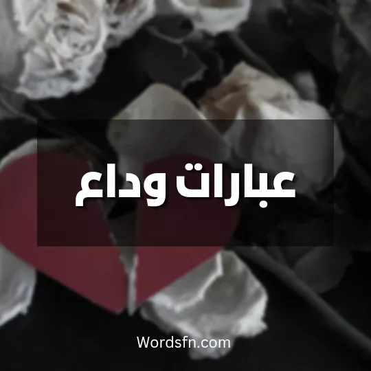 عبارات وداع عبارات وداع جميلة كلمات وداع واعتذار قبل الرحيل