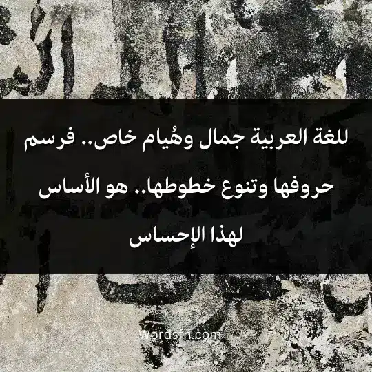 للغة العربية جمال وهُيام خاص.. فرسم حروفها وتنوع خطوطها.. هو الأساس لهذا الإحساس.