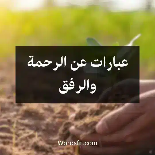 عبارات عن الرحمة والرفق