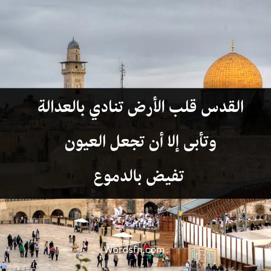 القدس، قلب الأرض، تنادي بالعدالة وتأبى إلا أن تجعل العيون تفيض بالدموع