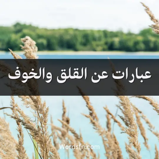 عبارات عن القلق والخوف