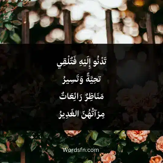 تَدْنُو إِلَيْهِ فَتٌلْقِي تحِيَّةً وَتَسِيرُ مَنَاظِرٌ رَائِعَاتٌ مِرْآتُهُنّ الغَدِيرُ