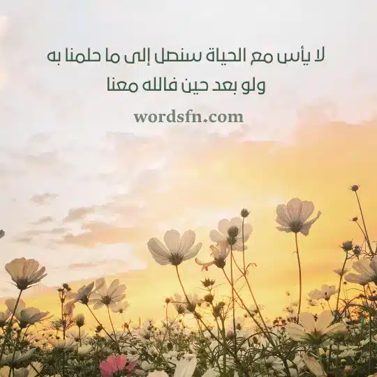 عبارات حالات واتس اب حكم قويه اجمل حالات واتس حكم عن الحياة 7209