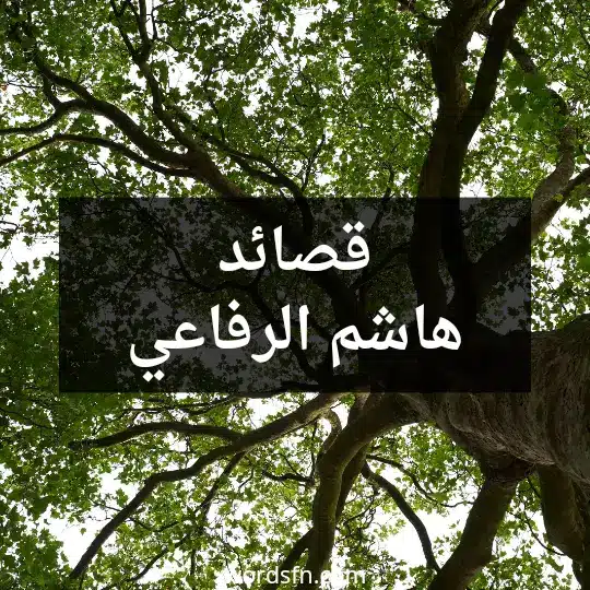 قصائد هاشم الرفاعي