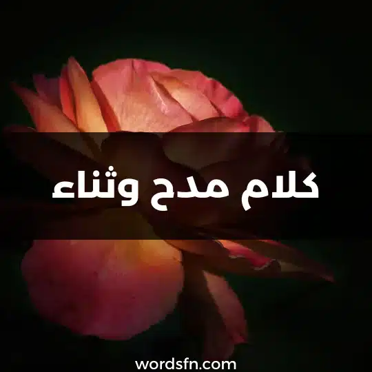 كلام مدح عبارات مدح شعر مدح في شخص غالي كلمات مدح